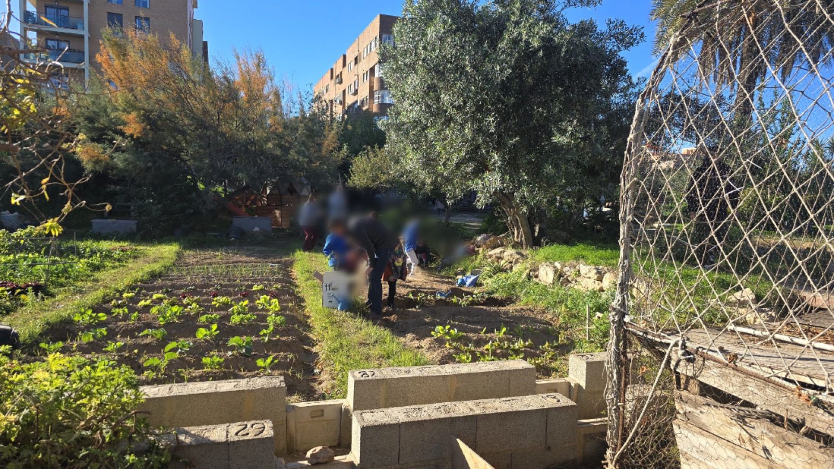 WhatsApp Image 2025-11-27 at 15.45.38 (1)