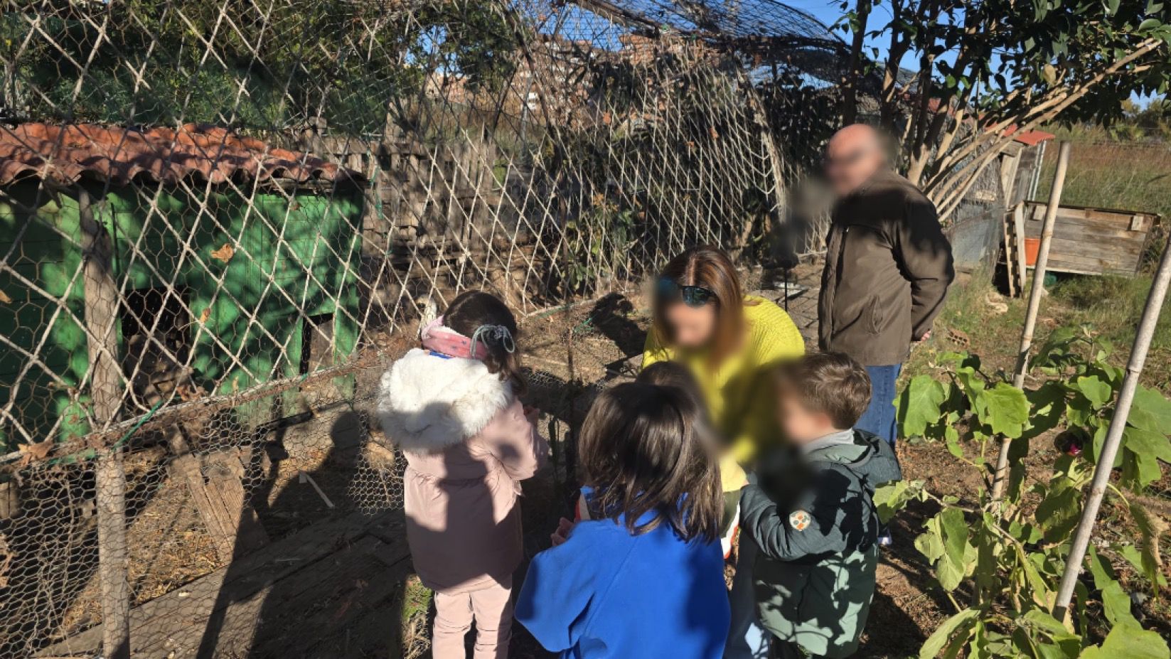 WhatsApp Image 2025-11-27 at 15.45.38