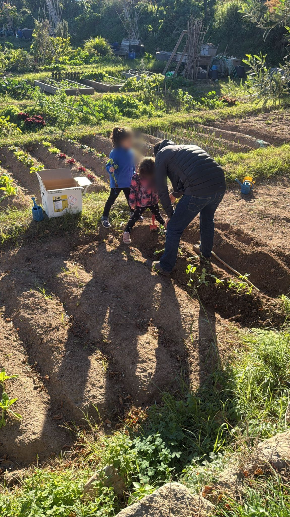 WhatsApp Image 2025-11-27 at 15.45.39 (1)