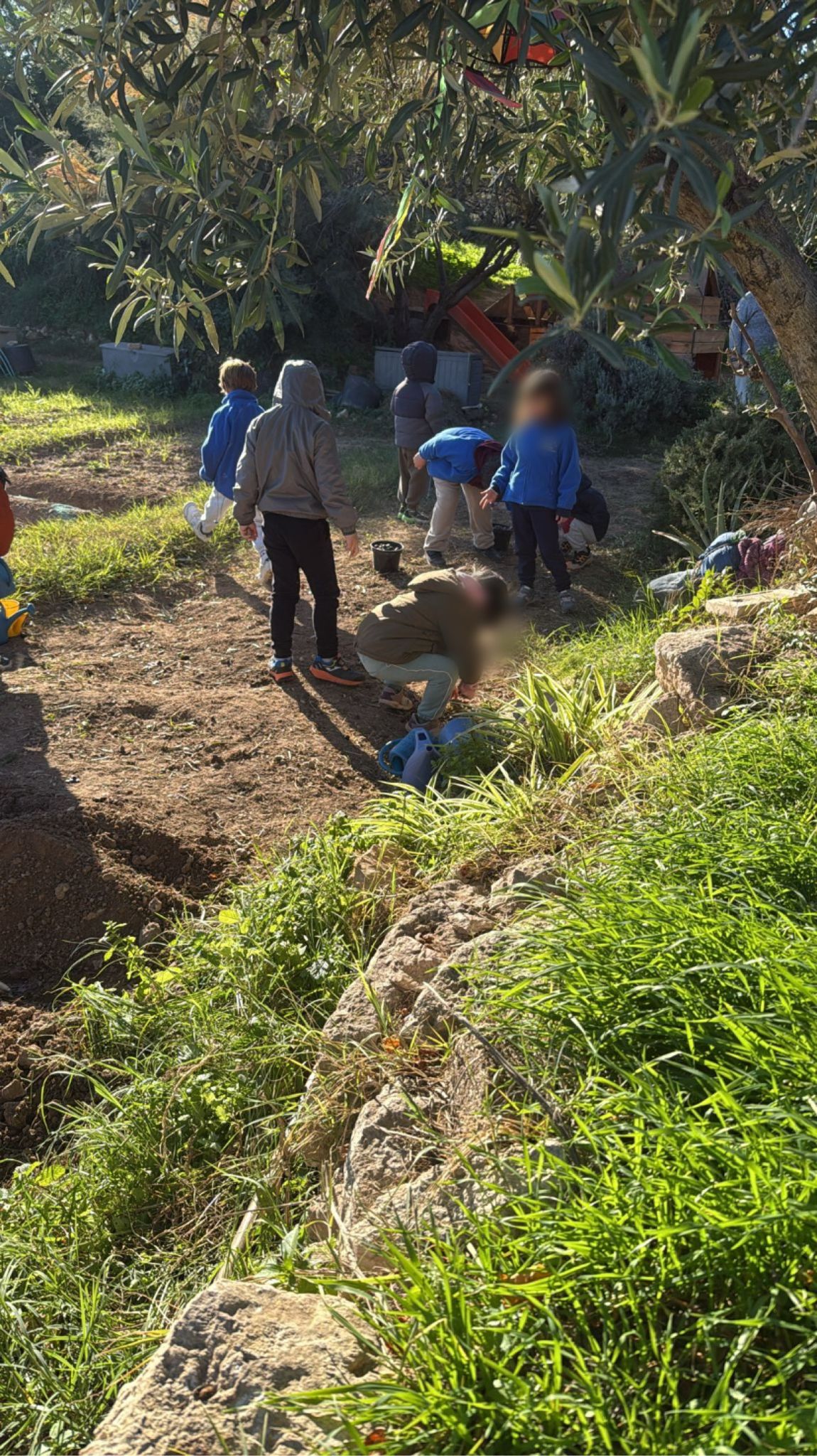 WhatsApp Image 2025-11-27 at 15.45.39 (2)