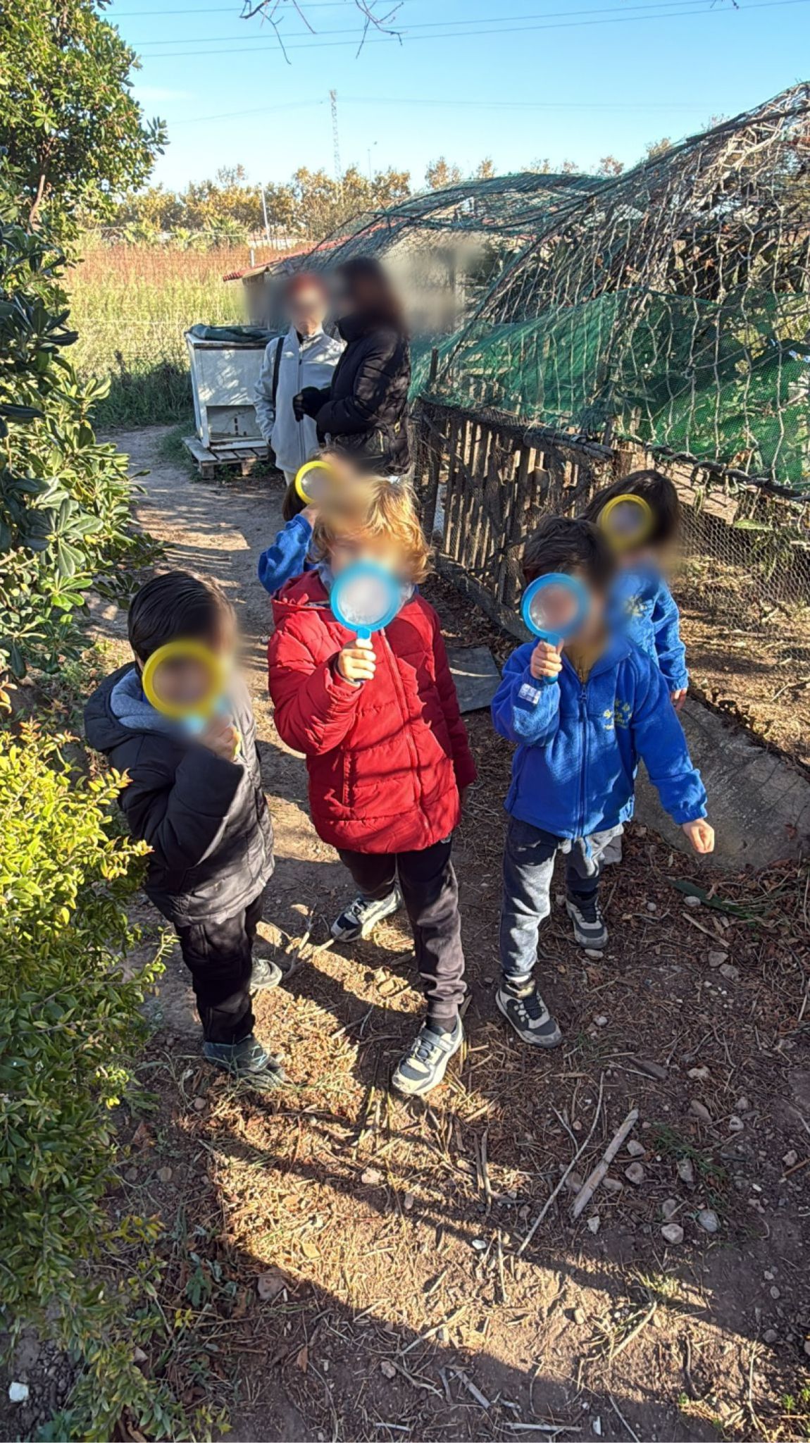 WhatsApp Image 2025-11-27 at 15.45.39